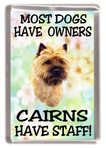 Cairn terrier dog fridge - cairn,