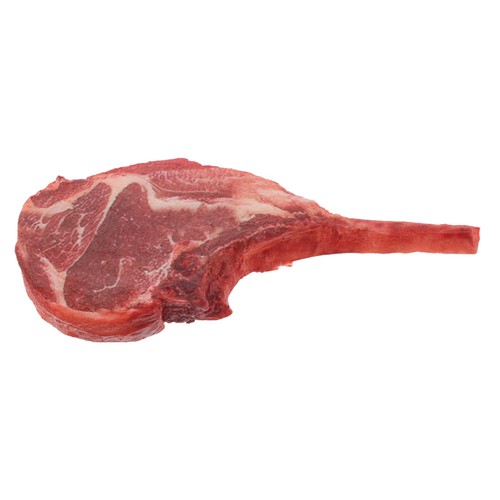 Artificial food realistic fake - artificial,