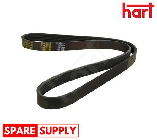 Ribbed belt for caddy - v-ribbed,