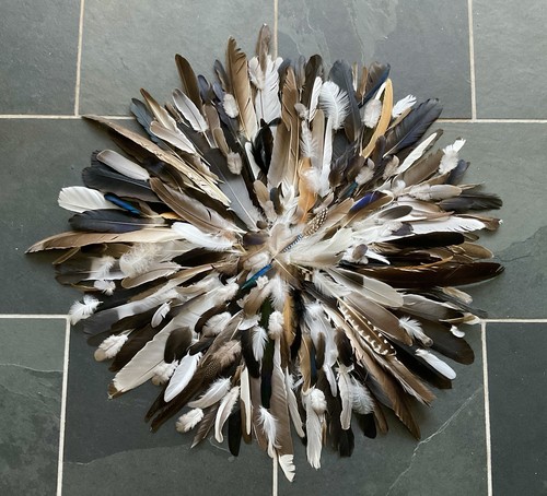 Real feathers arts crafts - real,