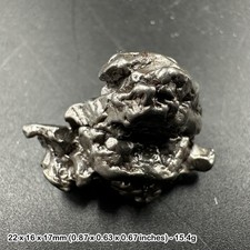 Campo del cielo nickel-iron meteorite crystals - certified genuine specimen