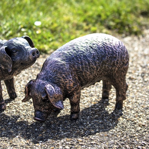 Bronze grazing pig garden - bronze,