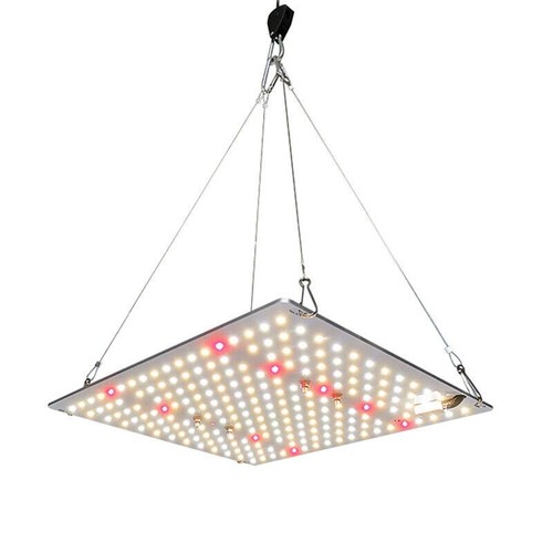1000w led grow - led,