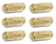 MOINA MACROCOPA EGGS WATER