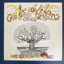 DAEVID ALLEN & MOTHER GONG 