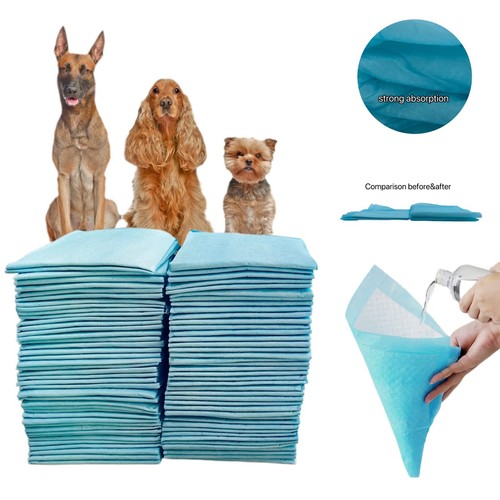 100pk puppy training - training, trainer