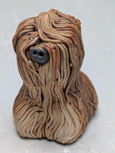 Old english sheepdog spaghetti - old,