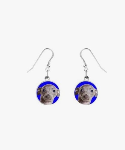 Greyhound puppy dog codez5 - puppy,