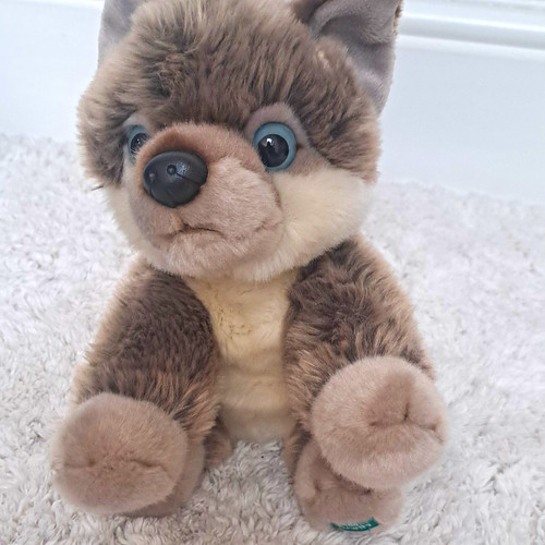 Bbc licensed husky dog plush - husky,