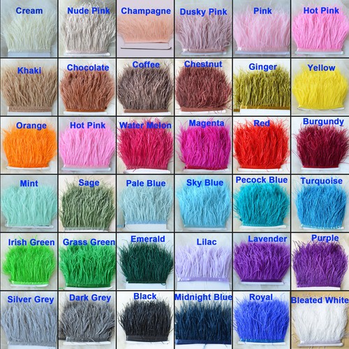 Quality ostrich feather fringe - feather,