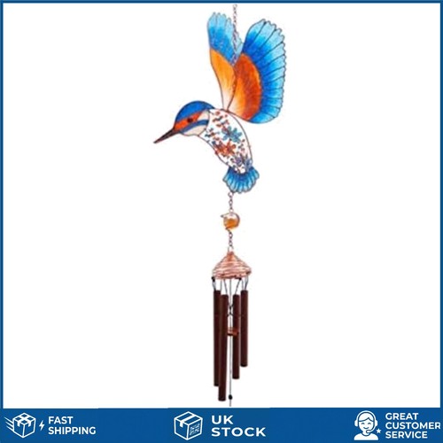 Dazzling kingfisher bird - dazzling,