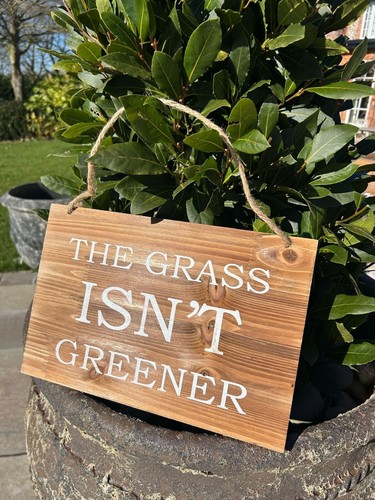 The grass isn - the, greener