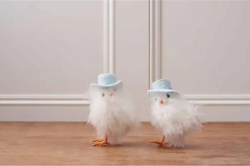 Easter chicks with - chicks,