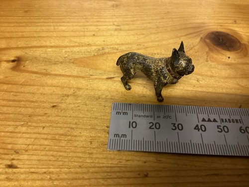 Bergmann french bulldog - french, cold