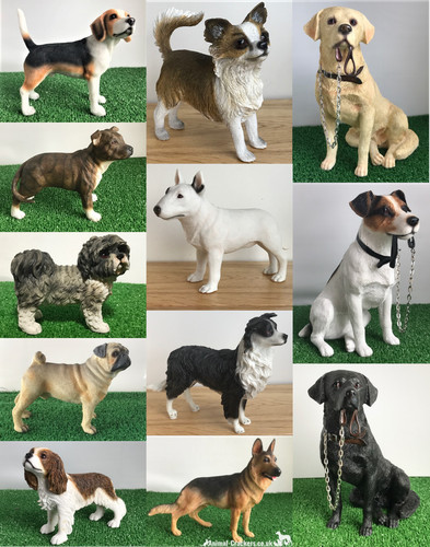 Sale leonardo dog - sale, jack