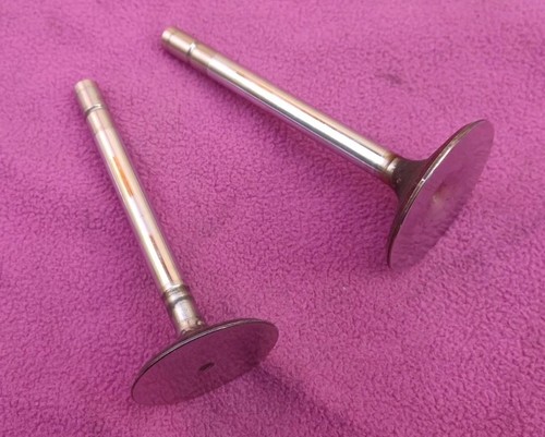 Ducati 900 stainless - ducati,