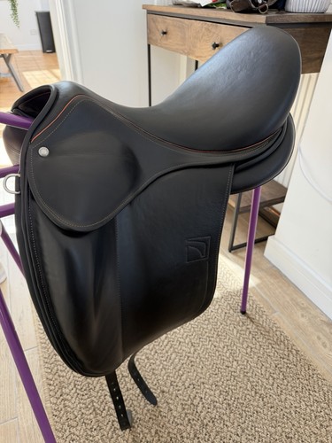 Childeric dsc dressage - childeric,