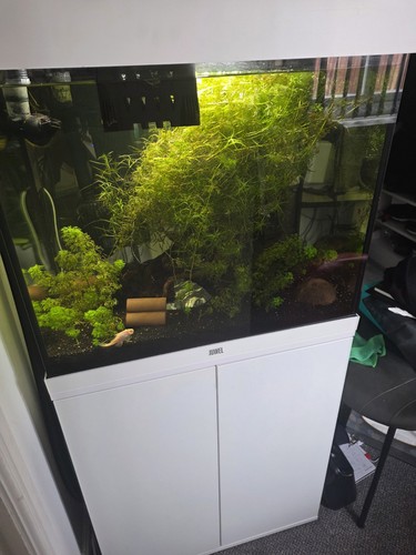 Complete aquarium setup - complete,