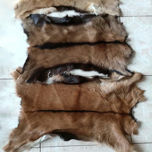 Piece real goat pelt fur - 1,