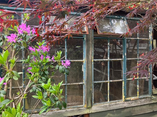 Metal crittal window - window, frames