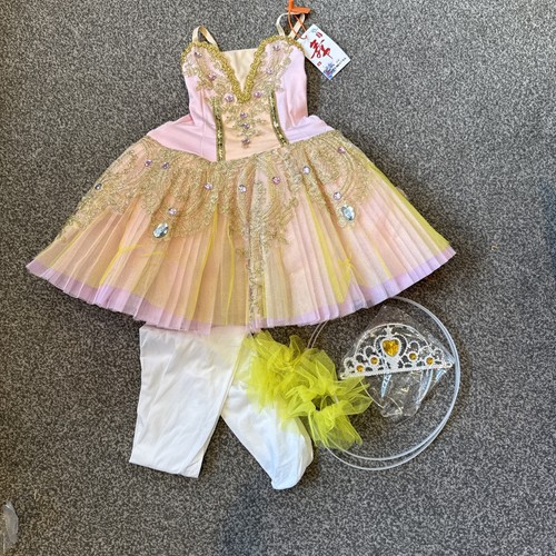 Professional ballet tutu girls - ballet,