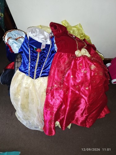 Disney princess dress job - disney,