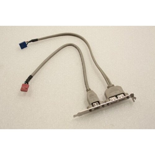 Usb fire wire back - usb, ports