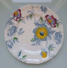 Ashworth Bros Hanley Plate – "Wild Rose" Pattern – Antique Collectible