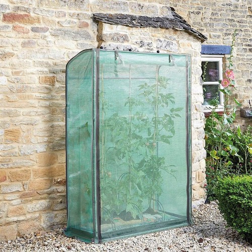 Smart garden tomato grozone - tomato,