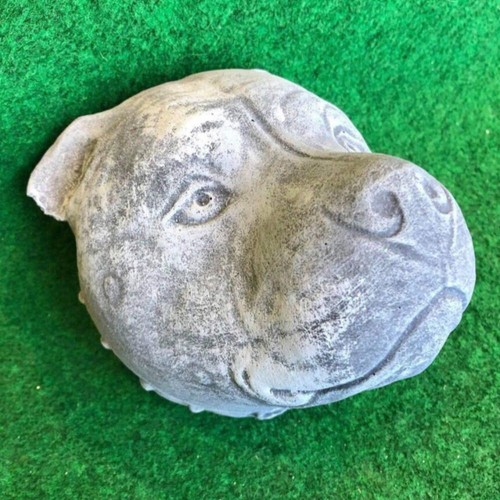 Concrete staffy dog head - concrete,