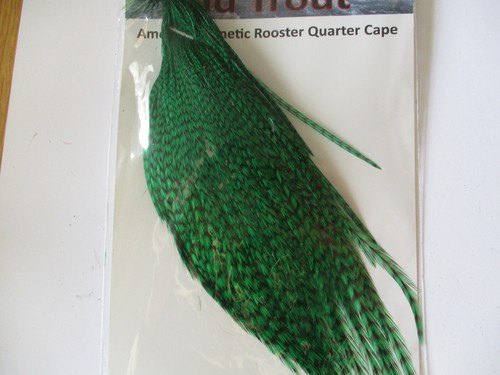 Green grizzle cock - , cape
