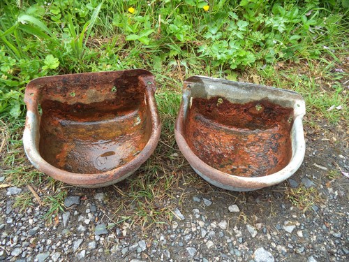 Water bowl cattle sheep - water,