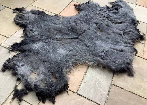 Pure rare breed hebridean - pure,