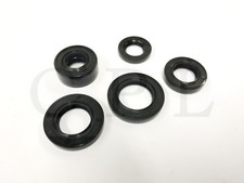 Oil Engine Seals Set for Skyteam Wacky 125 [ST125-8A]