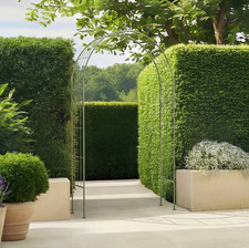 Sage Green Leaf Design Rustic