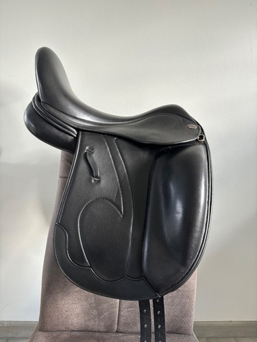 Harry dabbs mw dressage - dabbs,