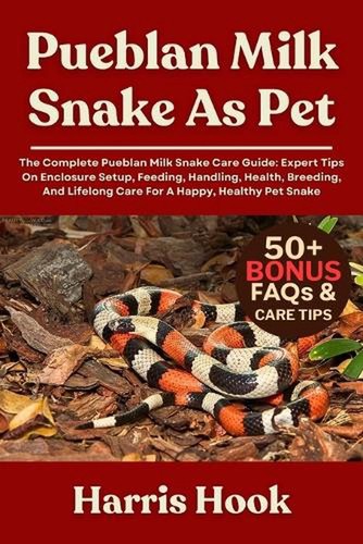 Pueblan milk snake pet the - as, pet: