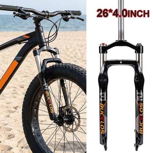 Fat bike beach - fat,