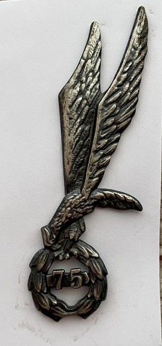 Poland parachute wings - parachute,