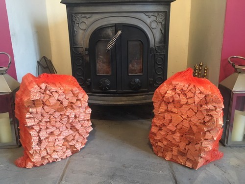 Dry kindling firewood logs - kindling,