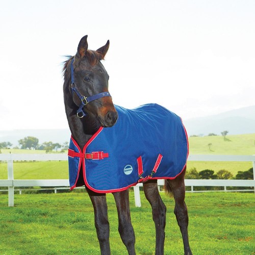 Weatherbeeta 1200d foal rug - 1200d,