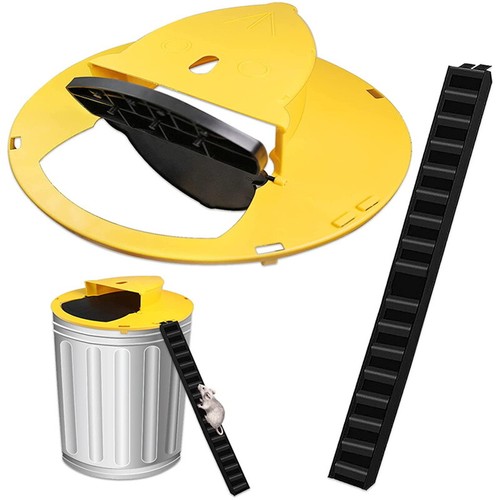 Mouse trap bucket - bucket,