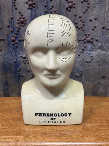 Phrenology head n fowler - phrenology,