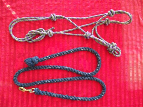 Rope halter and lead - ,