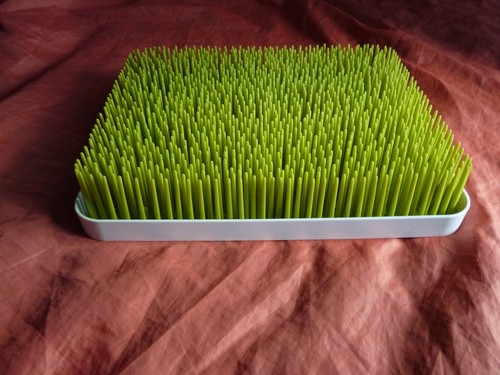 Boon patch countertop grass - boon,