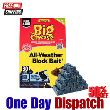 30 Blocks STV Big Cheese