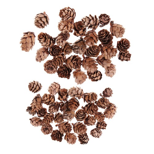 Small pine fir - small,