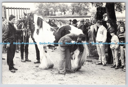 L359156 appleby fair the - l359156,