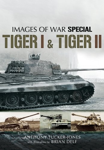 Tiger and - tiger, (images