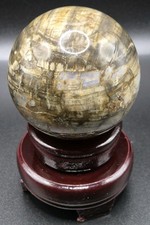 Petrified Wood Fossil Sphere